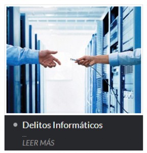 DELITOS INFORMATICOS